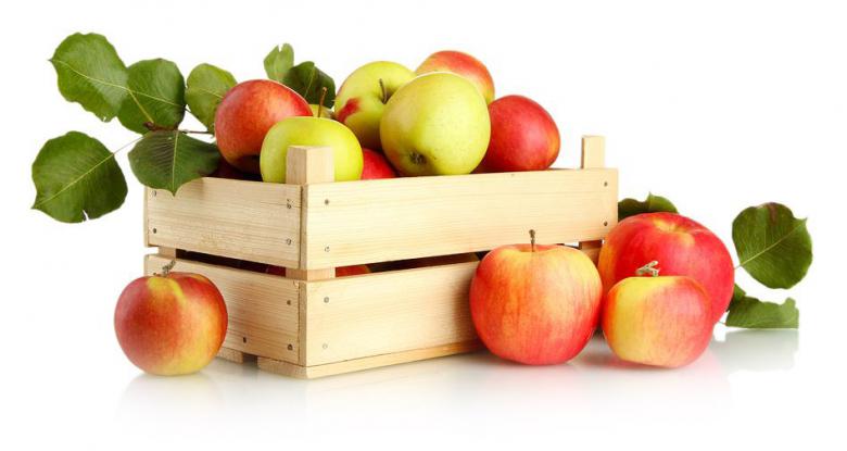 Apfel-Selbstpflücke