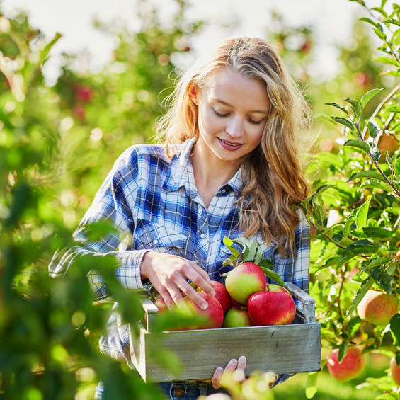 Unser Obstgut